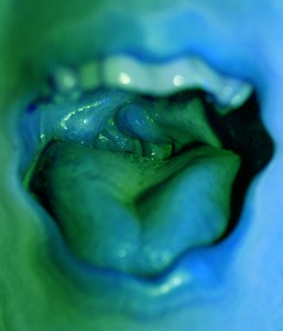 Image: Joshua Sofaer / Anneliina Koskinen