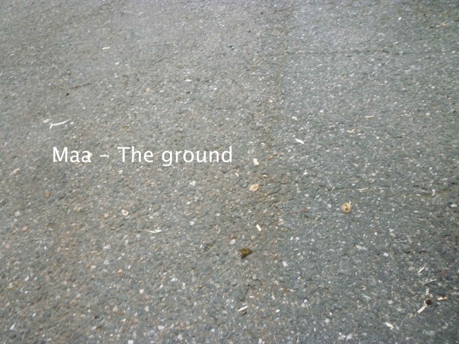 eero ylivankkuri veikko 053