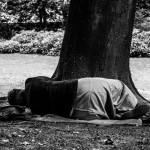 Afterlife (Woodland), Brussels (Photo: Milena Vergara Santiago)