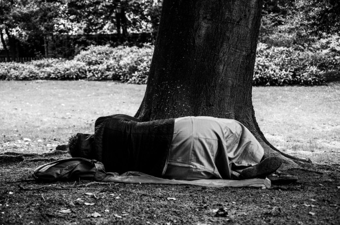 Afterlife_(Woodland)_Brussels